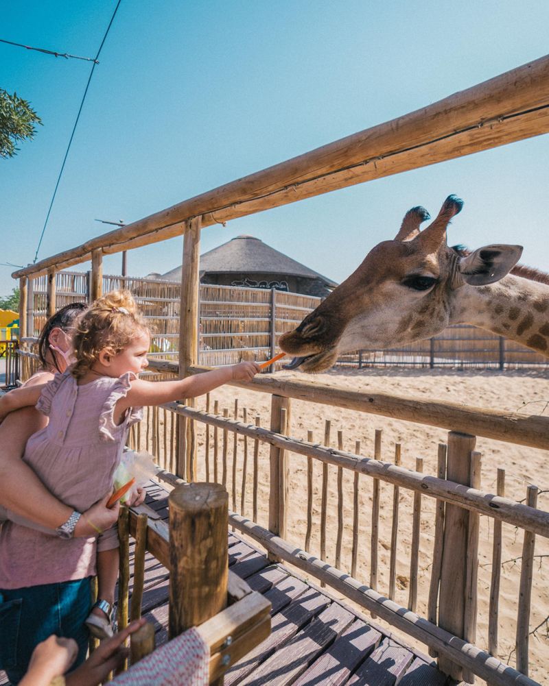 dubai safari park child age 