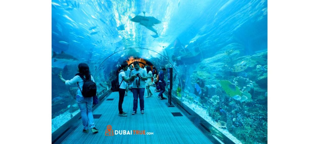 Dubai Aquarium and Underwater Zoo