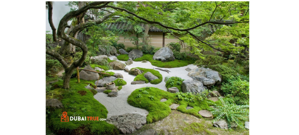 zen Garden of Dubai International Airport Entertainment