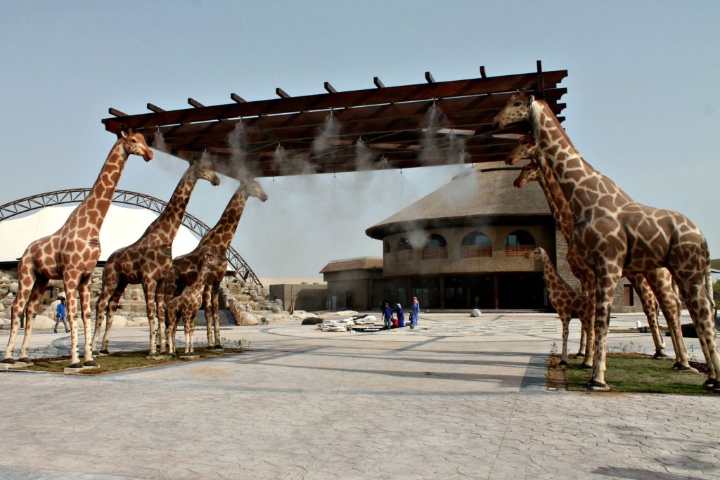 Safari Park Duba