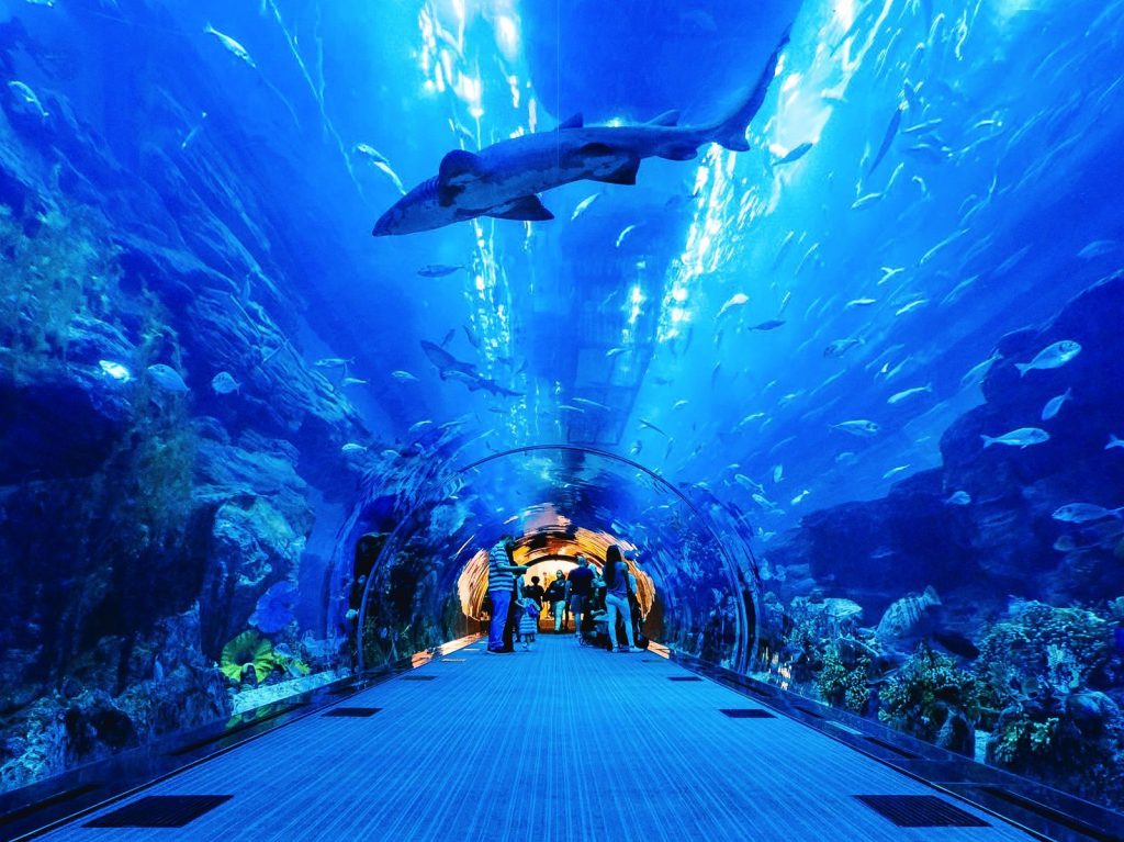 The final word about Dubai Underwater Aquarium