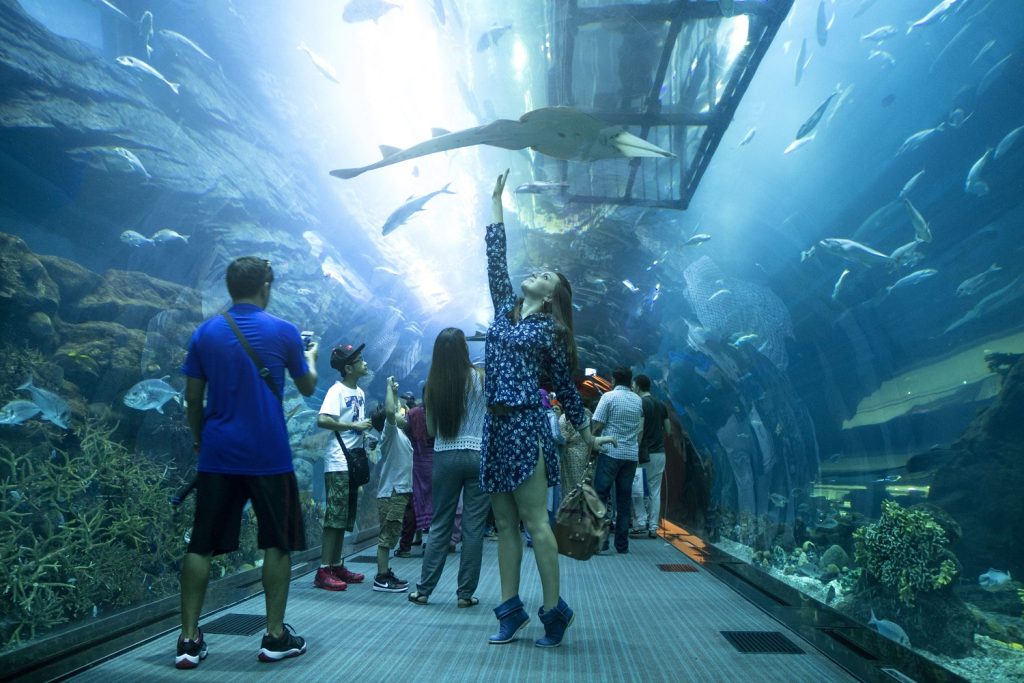 The world's biggest indoor aquarium