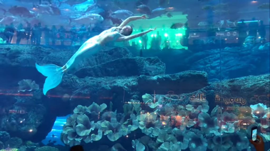 mermaid in dubai mall aquarium