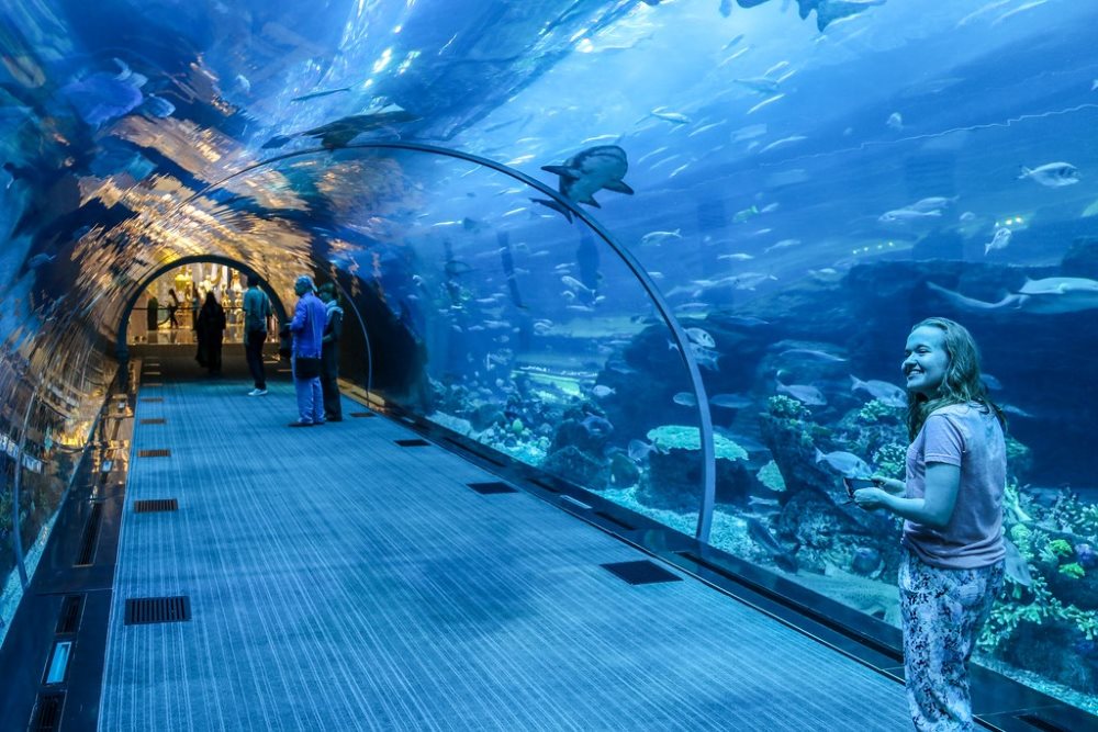 Aquarium tunnel section