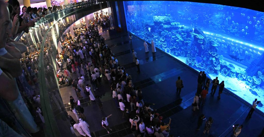 dubai aquarium