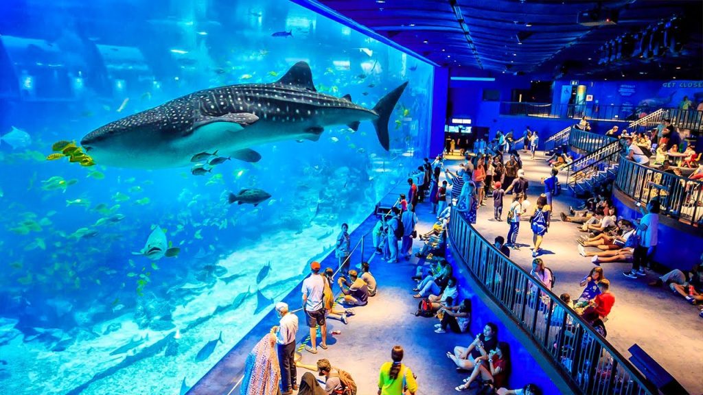 Section of dubai aquarium