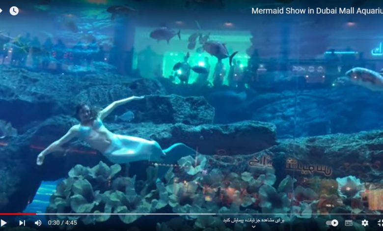 mermaid in dubai mall aquarium