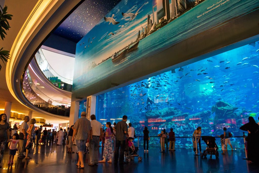 dubai mall aquarium reviews