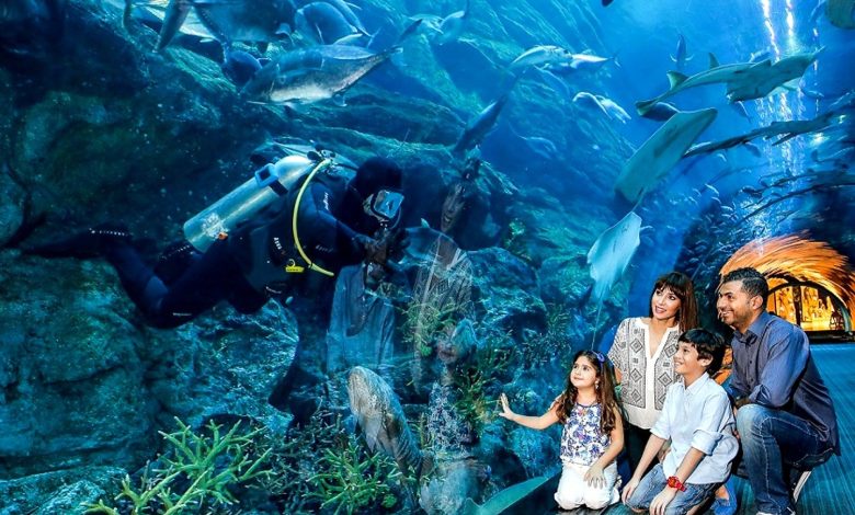 is dubai mall aquarium worth it ?