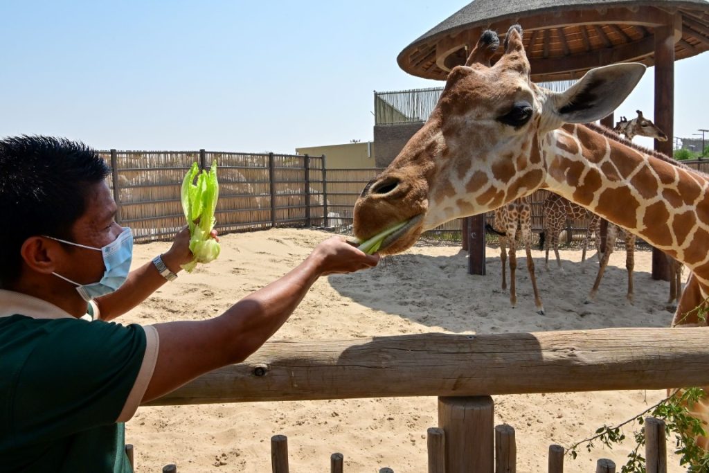 Dubai Safari Park